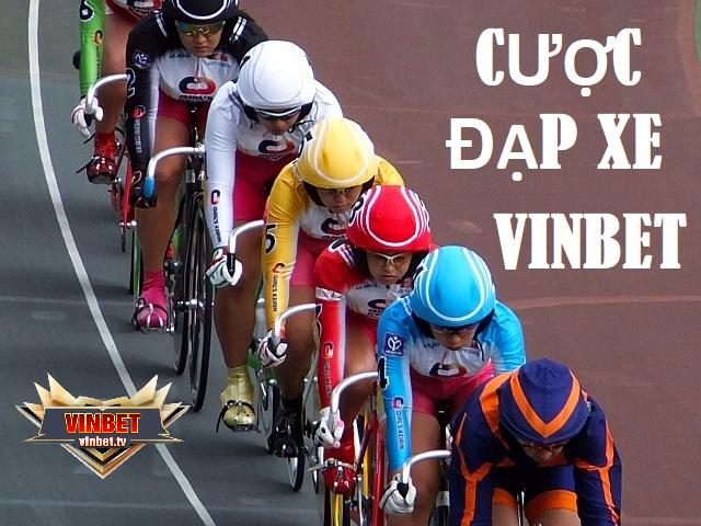 Bí kíp cược đạp xe Vinbet hiệu quả cho người mới