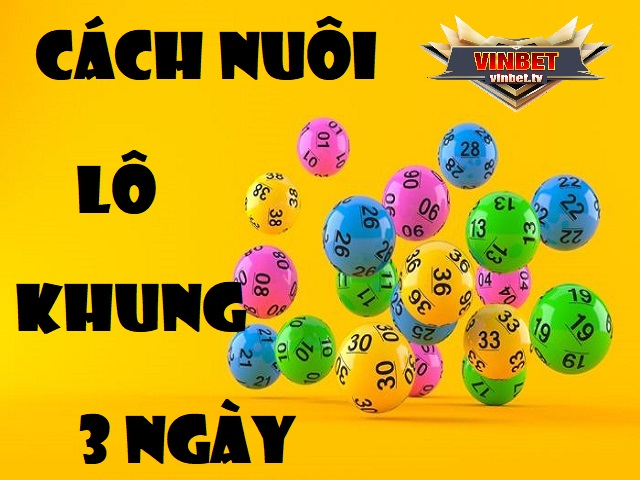 Cách nuôi lô khung 3 ngày cực chuẩn