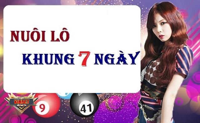 Cách nuôi lô khung 7 ngày chuẩn nhất